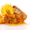 Propolis, Life Care®